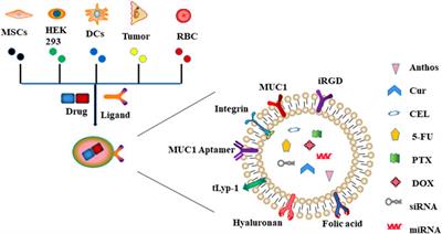 Exosomes as Drug Carriers in Anti-Cancer Therapy